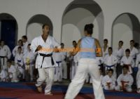 karate (85) (Αντιγραφή)